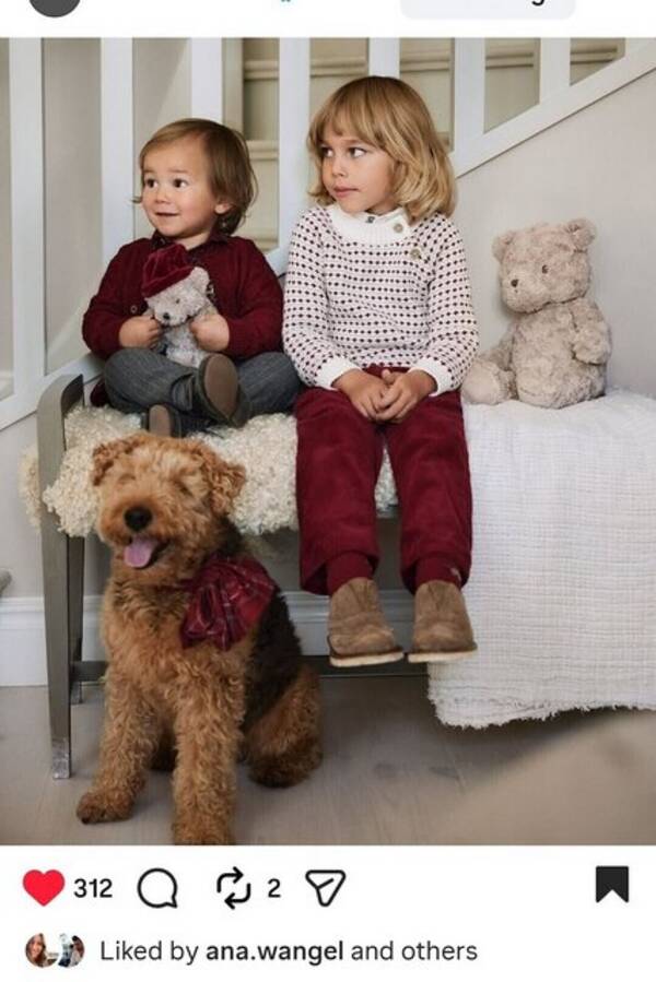 Hund - Welsh Terrier - Neska