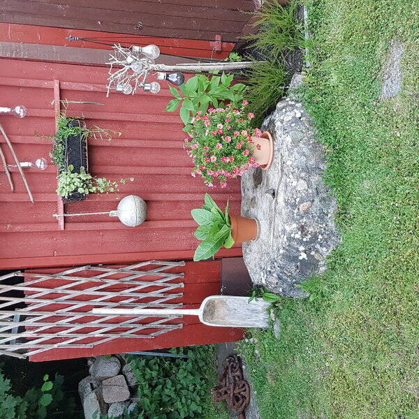 Sommarstuga