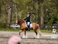 Ponnyn Vincent