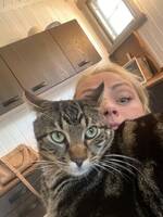 Katt Lexie