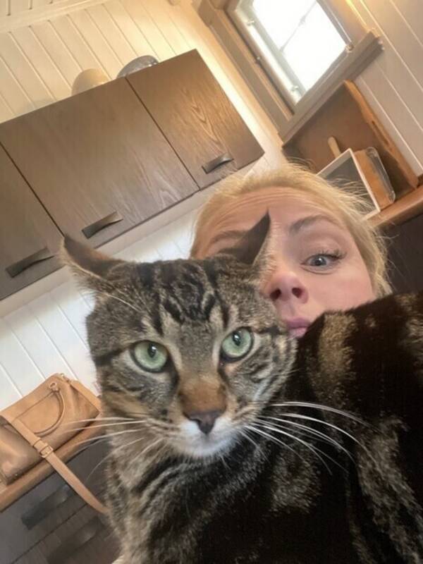Katt - Katt Lexie