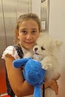 Min hund Ice