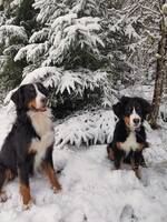 Boston & Logan