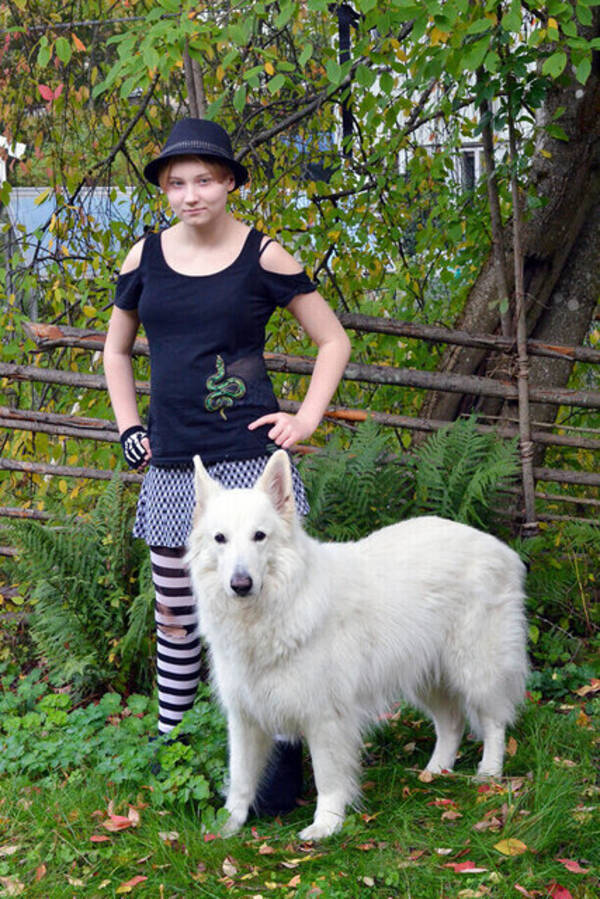 Hund - Nero, långhårig vit herdehund