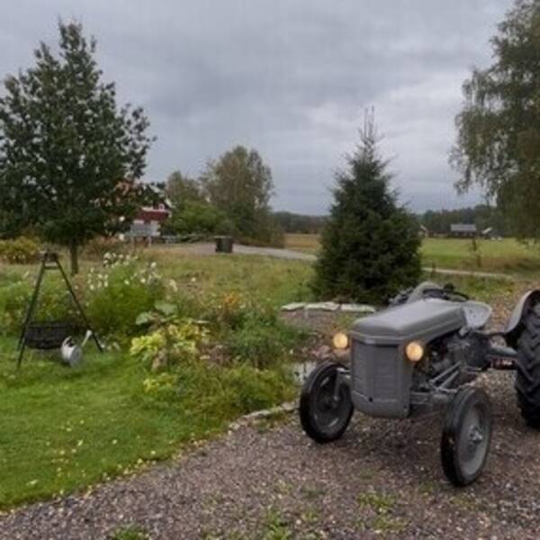 Revisitter - Gråtass traktor