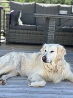 Isak 