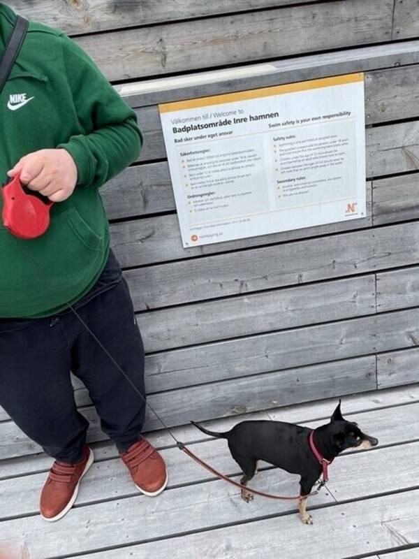 Hund - Hunden Humlan