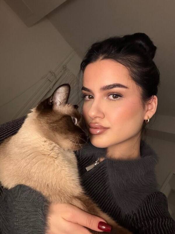 Katt - Siamesisk hankatt – 3,5 år