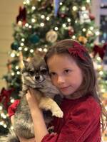 Pomchi