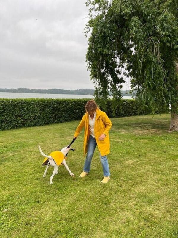 Hund - Dalmatinen Fabian