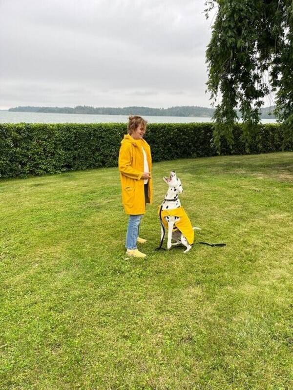 Hund - Dalmatinen Fabian