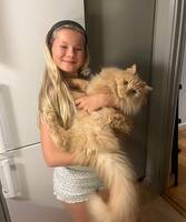 Katten Baloo