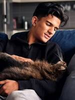 Katten Bamse känd från Tv4