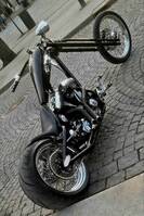 Harley Davidson