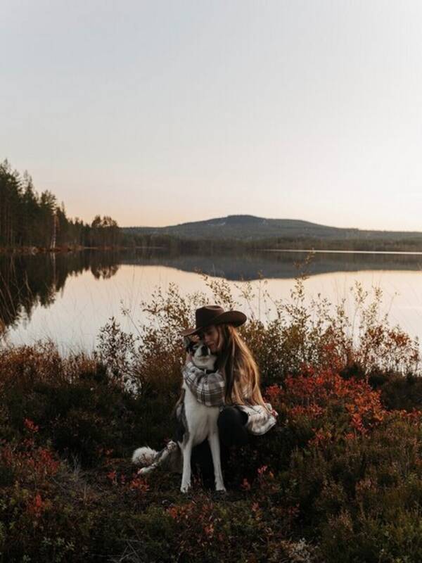 Hund - Huskyn Ulf