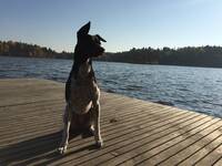 Esther