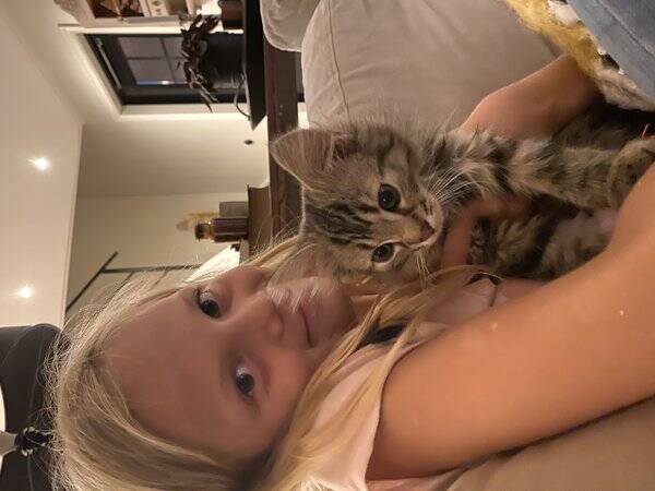 Katt