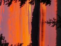 Sommarstuga Sommarstuga