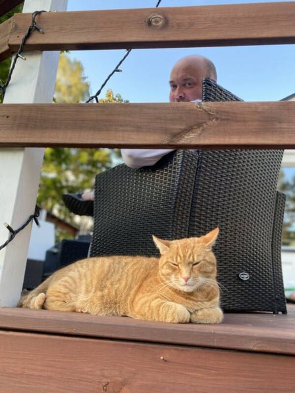 Katt