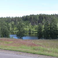 Sommarstuga Sommarstuga