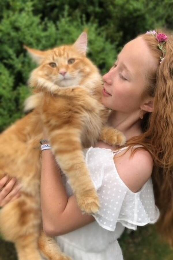 Katt