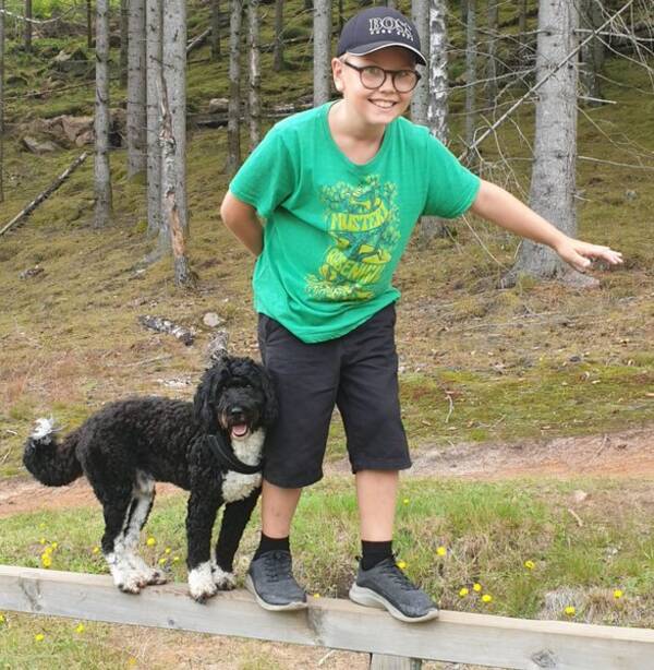 Hund